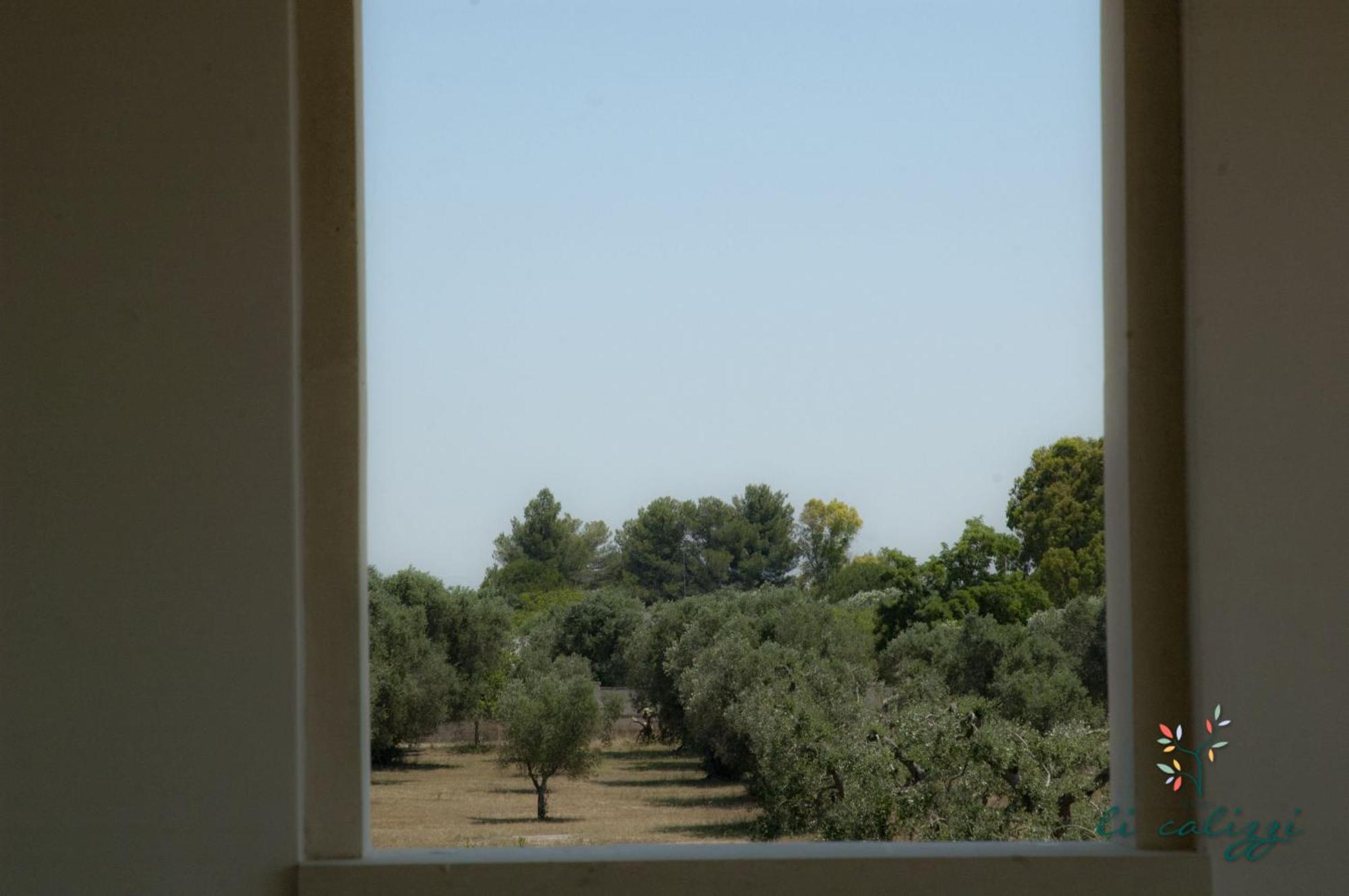 Agriturismo Li Calizzi Arte E Natura Novoli Habitación foto